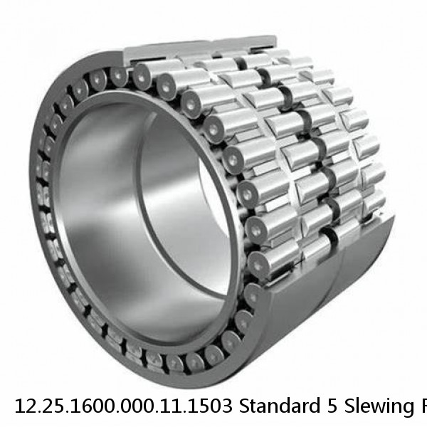 12.25.1600.000.11.1503 Standard 5 Slewing Ring Bearings