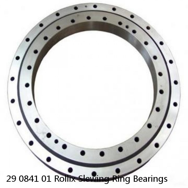 29 0841 01 Rollix Slewing Ring Bearings