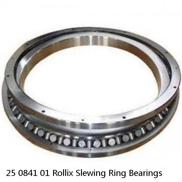 25 0841 01 Rollix Slewing Ring Bearings