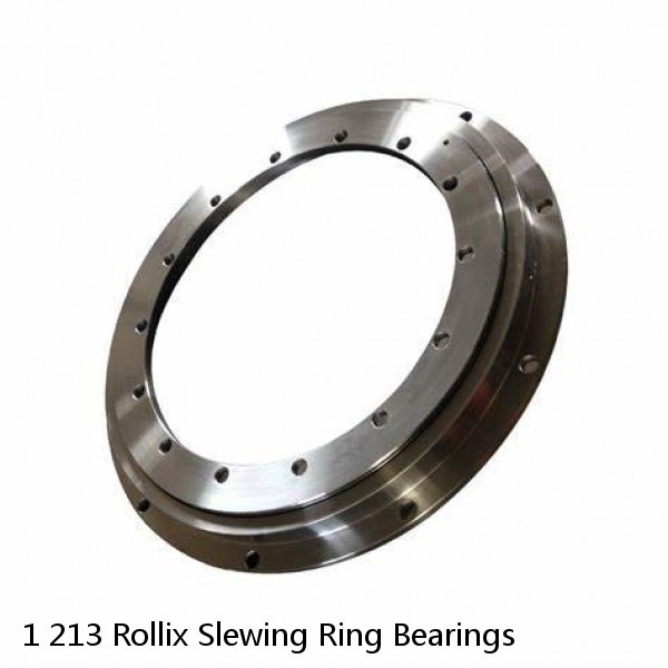 1 213 Rollix Slewing Ring Bearings