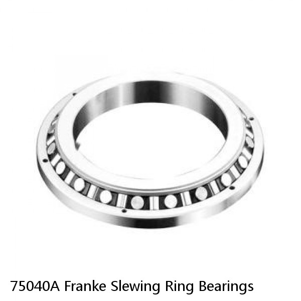 75040A Franke Slewing Ring Bearings