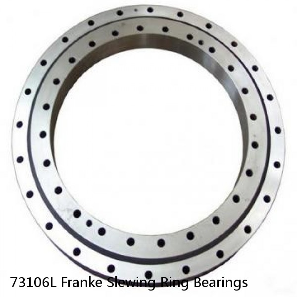 73106L Franke Slewing Ring Bearings