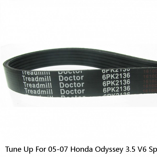 Tune Up For 05-07 Honda Odyssey 3.5 V6 Spark Plugs Air Cabin & Oil Filters Belts