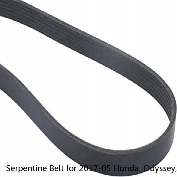 Serpentine Belt for 2017-05 Honda, Odyssey, V-6 3.5 L, Serpentine