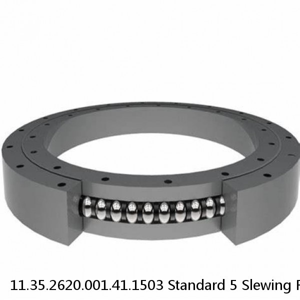 11.35.2620.001.41.1503 Standard 5 Slewing Ring Bearings #1 small image