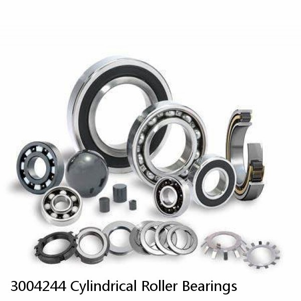 3004244 Cylindrical Roller Bearings #1 small image
