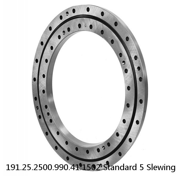 191.25.2500.990.41.1502 Standard 5 Slewing Ring Bearings #1 small image