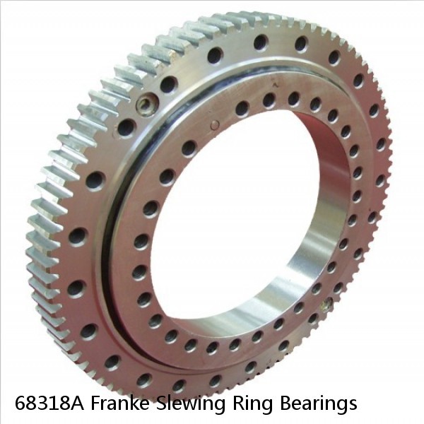 68318A Franke Slewing Ring Bearings #1 small image