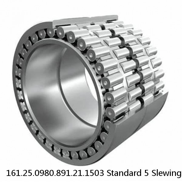 161.25.0980.891.21.1503 Standard 5 Slewing Ring Bearings #1 small image