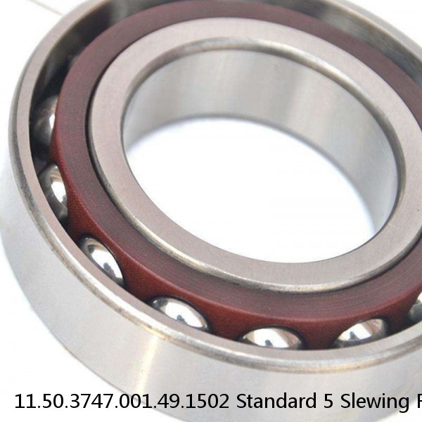 11.50.3747.001.49.1502 Standard 5 Slewing Ring Bearings #1 small image