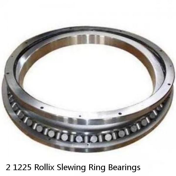 2 1225 Rollix Slewing Ring Bearings #1 small image