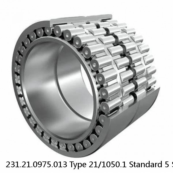 231.21.0975.013 Type 21/1050.1 Standard 5 Slewing Ring Bearings #1 small image