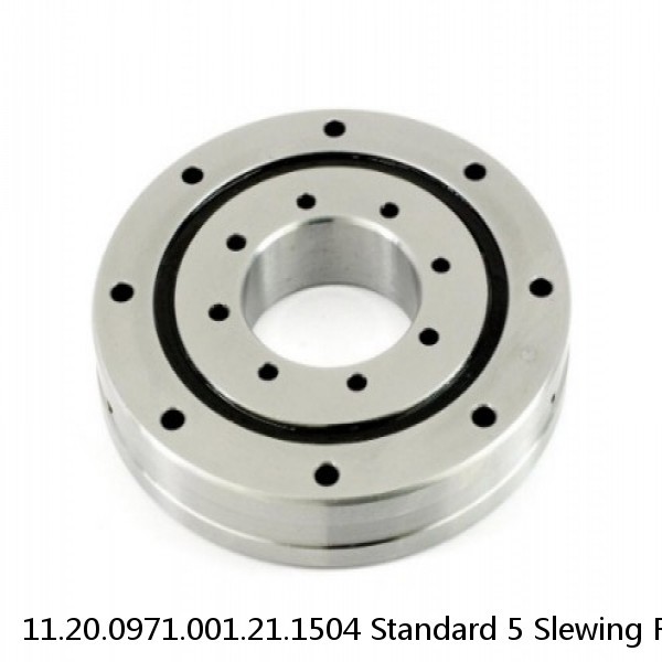 11.20.0971.001.21.1504 Standard 5 Slewing Ring Bearings #1 small image