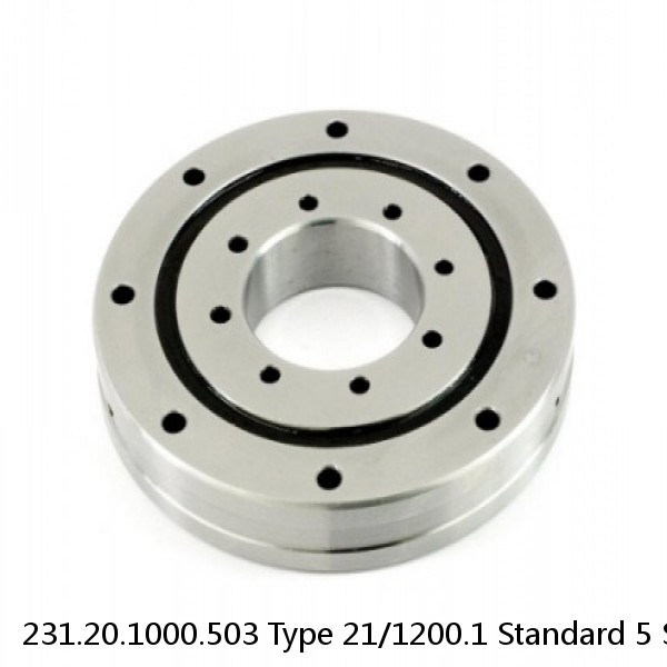 231.20.1000.503 Type 21/1200.1 Standard 5 Slewing Ring Bearings #1 small image