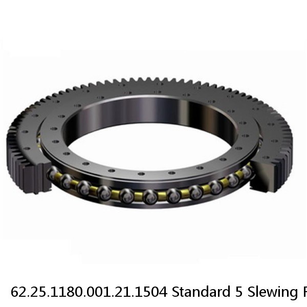 62.25.1180.001.21.1504 Standard 5 Slewing Ring Bearings #1 small image