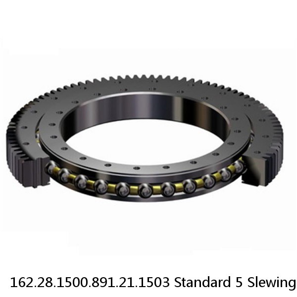 162.28.1500.891.21.1503 Standard 5 Slewing Ring Bearings #1 small image