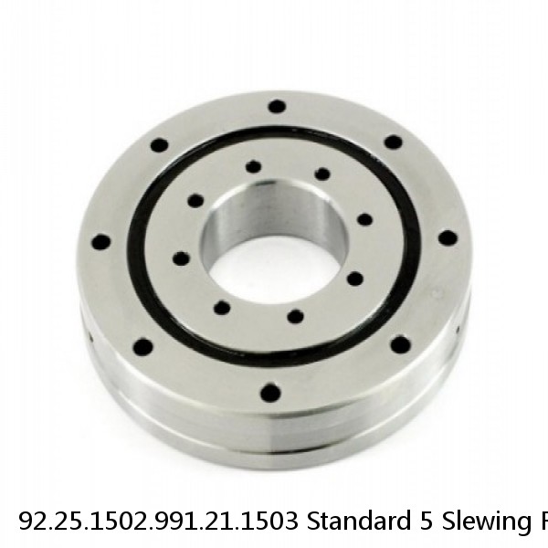 92.25.1502.991.21.1503 Standard 5 Slewing Ring Bearings #1 small image