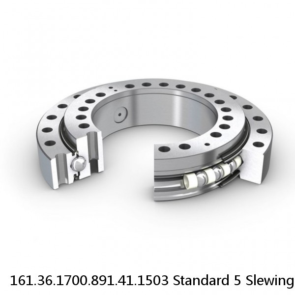 161.36.1700.891.41.1503 Standard 5 Slewing Ring Bearings #1 small image