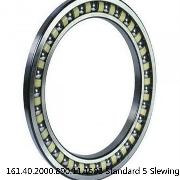 161.40.2000.890.11.1503 Standard 5 Slewing Ring Bearings #1 small image