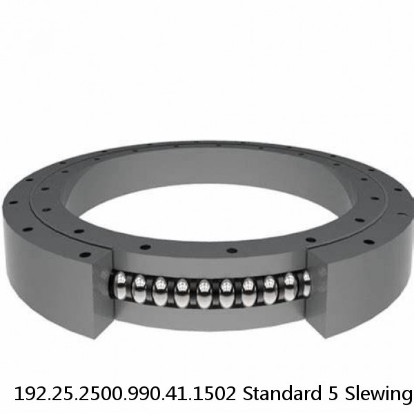 192.25.2500.990.41.1502 Standard 5 Slewing Ring Bearings #1 small image