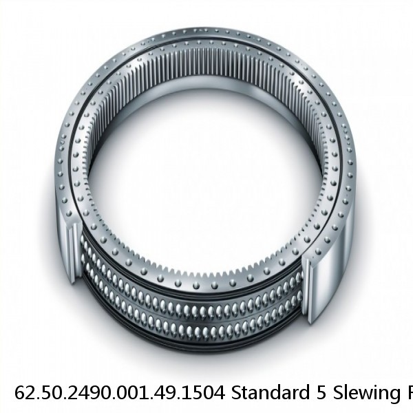 62.50.2490.001.49.1504 Standard 5 Slewing Ring Bearings #1 small image