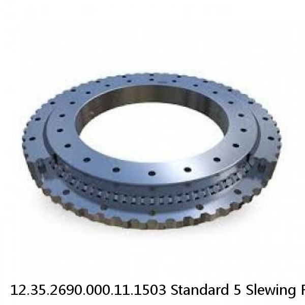 12.35.2690.000.11.1503 Standard 5 Slewing Ring Bearings #1 small image