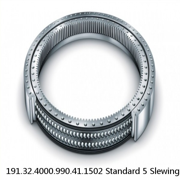 191.32.4000.990.41.1502 Standard 5 Slewing Ring Bearings #1 small image