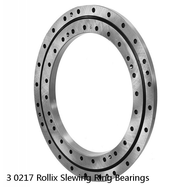 3 0217 Rollix Slewing Ring Bearings #1 small image