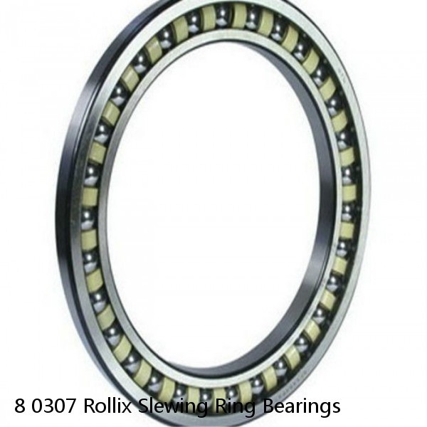 8 0307 Rollix Slewing Ring Bearings #1 small image