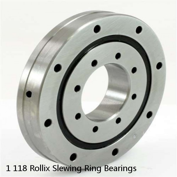 1 118 Rollix Slewing Ring Bearings #1 small image