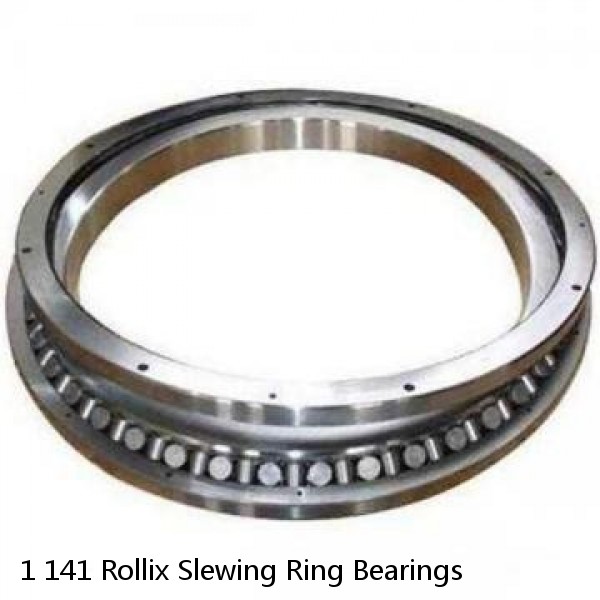 1 141 Rollix Slewing Ring Bearings #1 small image