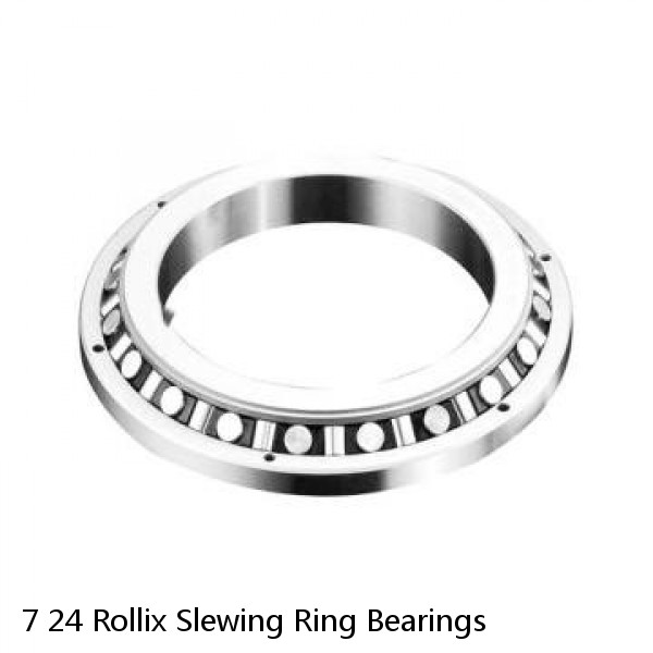 7 24 Rollix Slewing Ring Bearings #1 small image