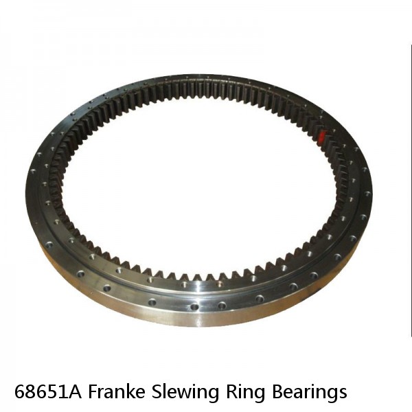 68651A Franke Slewing Ring Bearings #1 small image