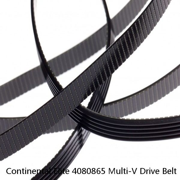Continental Elite 4080865 Multi-V Drive Belt #1 small image