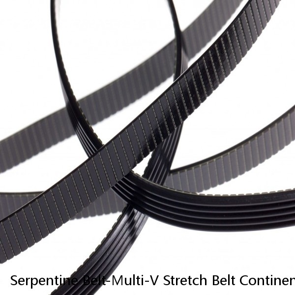 Serpentine Belt-Multi-V Stretch Belt Continental Elite 4040329S #1 small image