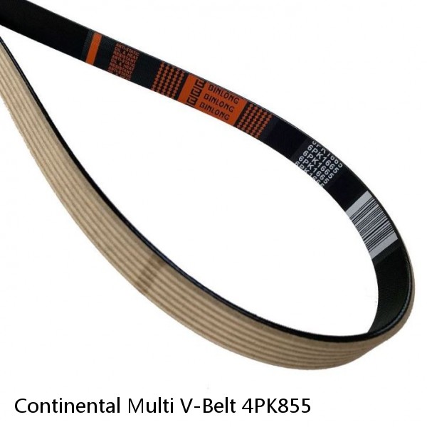 Continental Multi V-Belt 4PK855 #1 small image