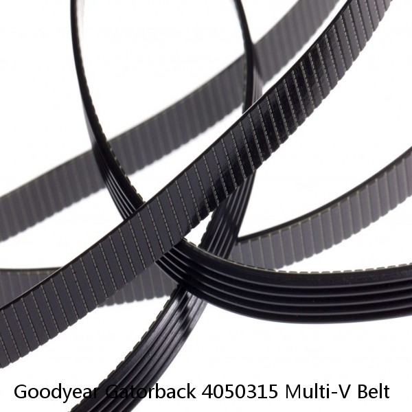 Goodyear Gatorback 4050315 Multi-V Belt #1 small image