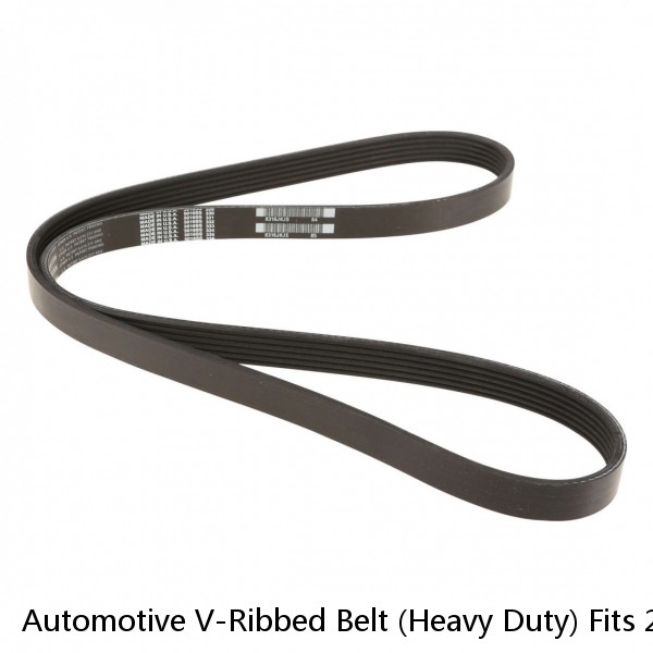 Automotive V-Ribbed Belt (Heavy Duty) Fits 2001-1998 Fits Volvo VN Series, Detro #1 small image