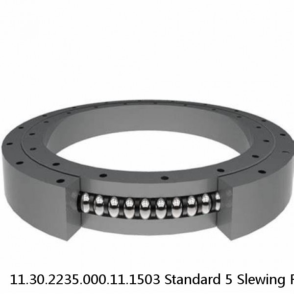 11.30.2235.000.11.1503 Standard 5 Slewing Ring Bearings #1 image