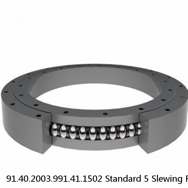 91.40.2003.991.41.1502 Standard 5 Slewing Ring Bearings #1 image