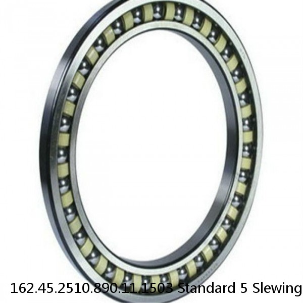 162.45.2510.890.11.1503 Standard 5 Slewing Ring Bearings #1 image