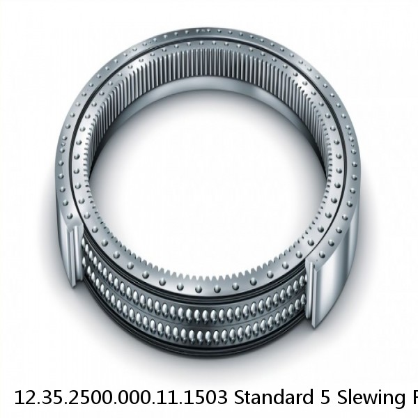 12.35.2500.000.11.1503 Standard 5 Slewing Ring Bearings #1 image