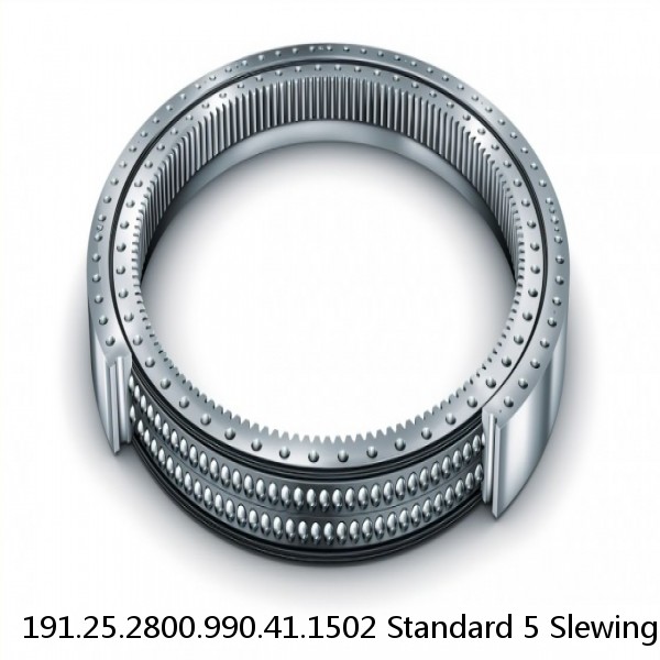 191.25.2800.990.41.1502 Standard 5 Slewing Ring Bearings #1 image