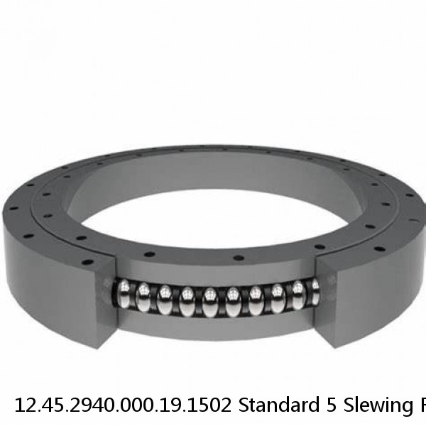 12.45.2940.000.19.1502 Standard 5 Slewing Ring Bearings #1 image