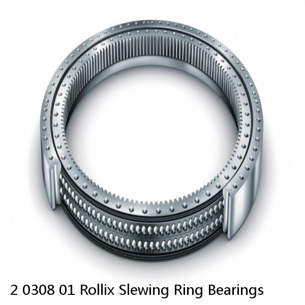 2 0308 01 Rollix Slewing Ring Bearings #1 image