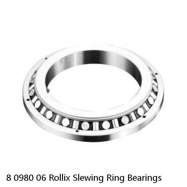 8 0980 06 Rollix Slewing Ring Bearings #1 image