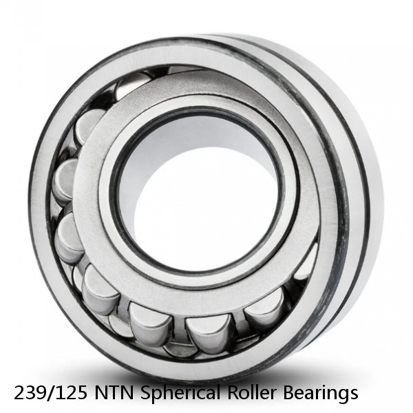 239/125 NTN Spherical Roller Bearings #1 image